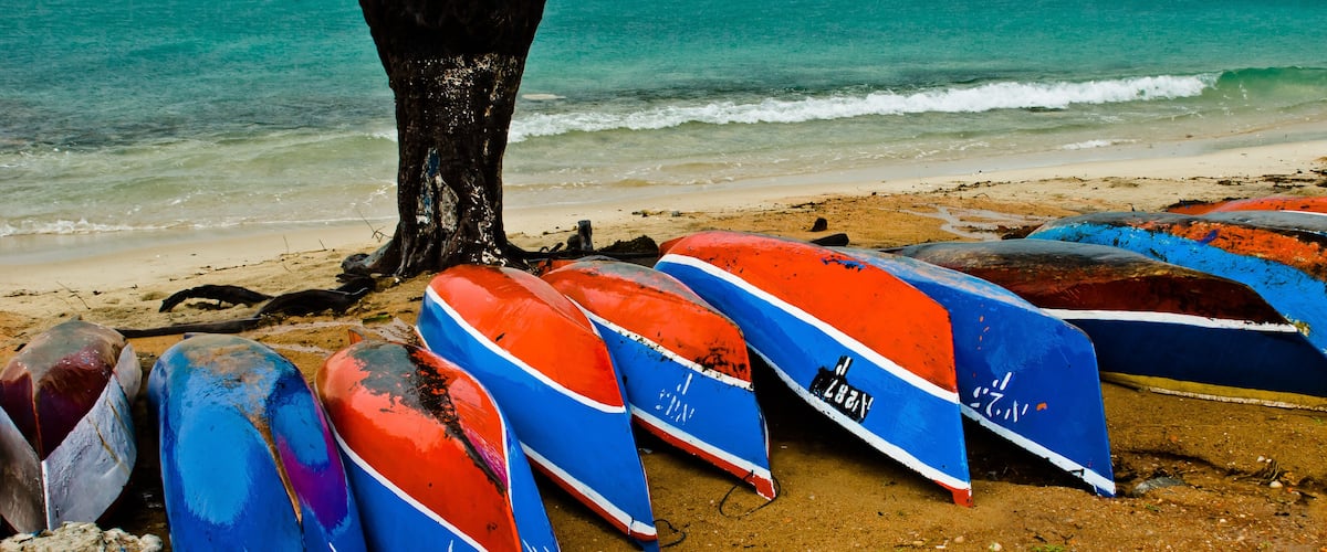 A beach with several colorful kayaks lined up near a tree.