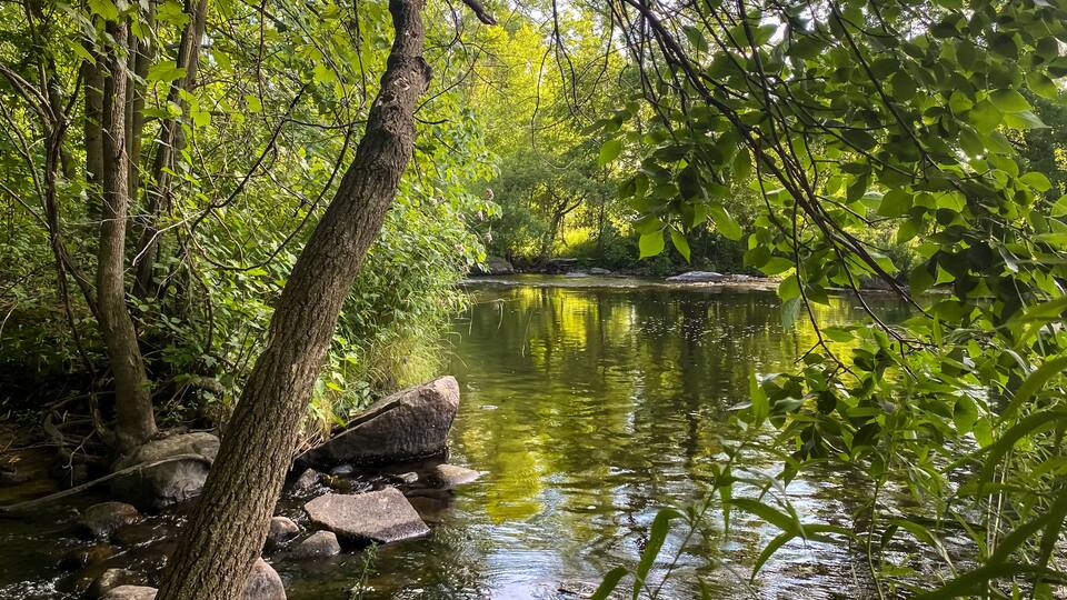 Little Wolf River in Symco Wisconsin on a Summer Day