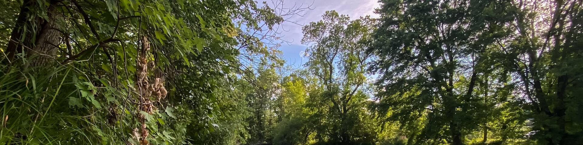 Little Wolf River in Symco Wisconsin on a Summer Day