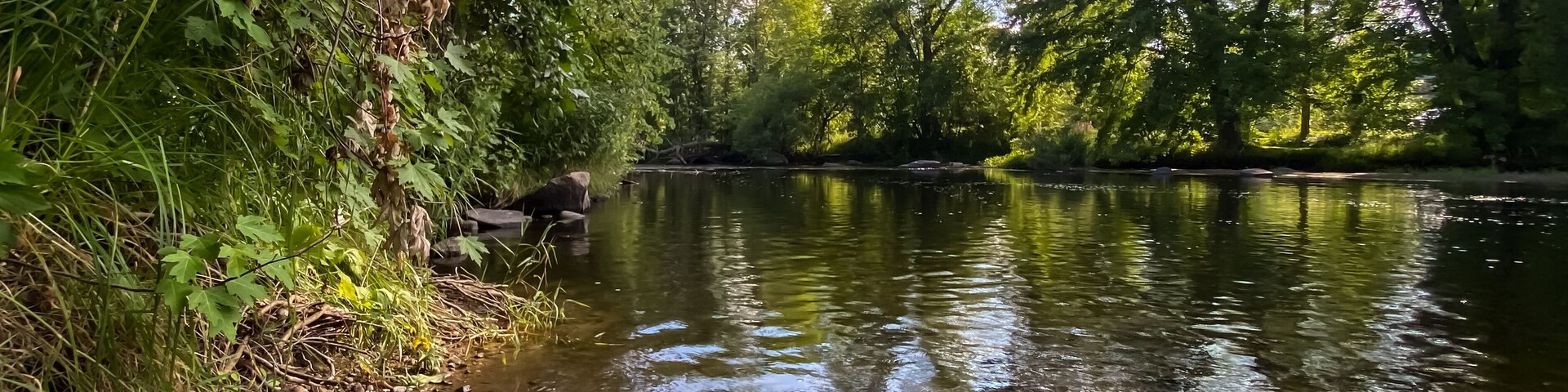 Little Wolf River in Symco Wisconsin on a Summer Day