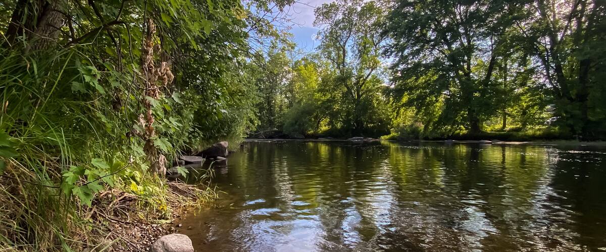 A calm river with rocks and dense greenery on the banks.