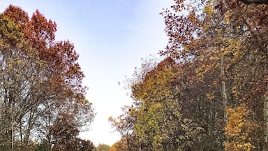 âThe long road homeâ
Akron Road
West Bloomfield, near Fremont Wisconsin