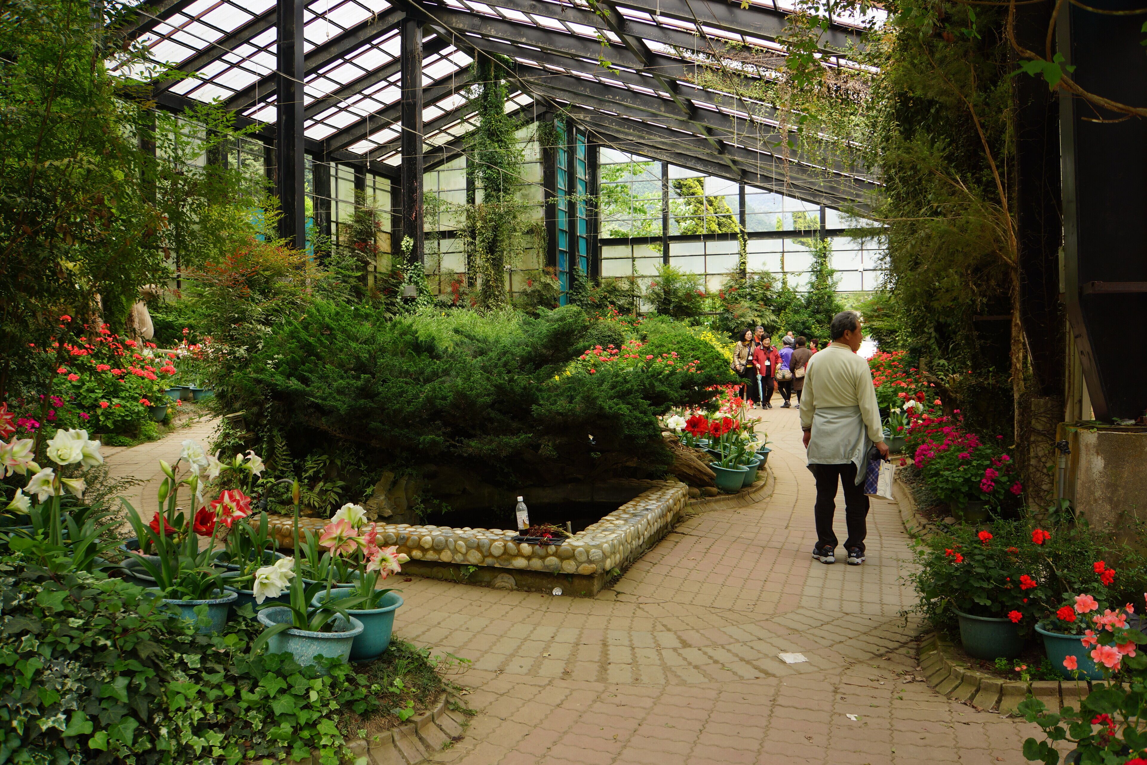 杉林溪温室花園 Shanlinxi Greenhouse Garden