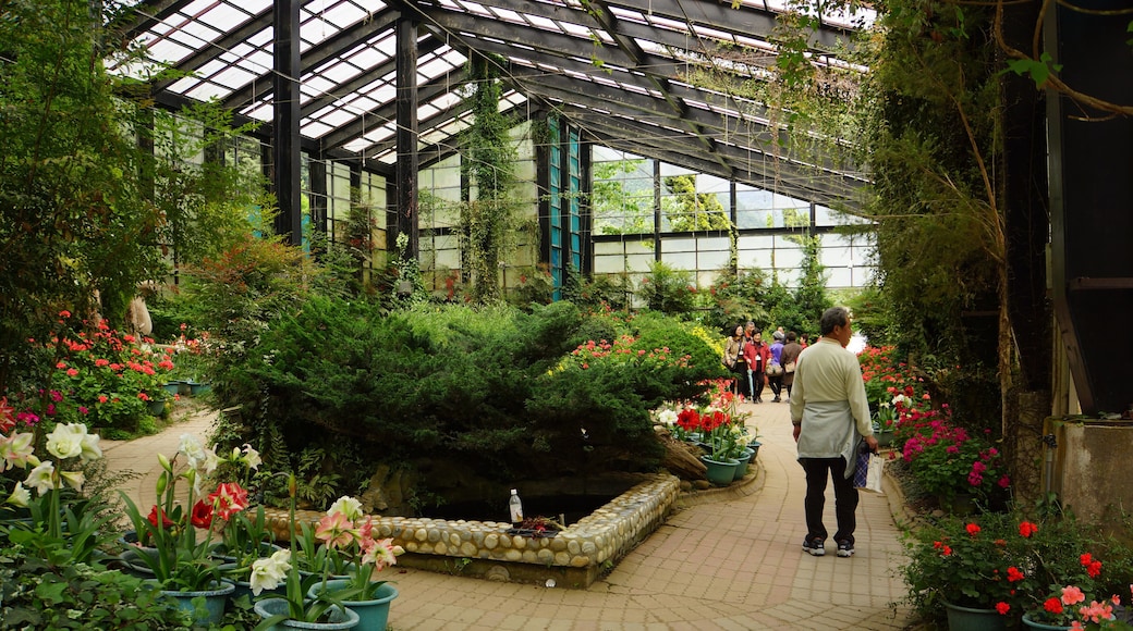 杉林溪温室花園 Shanlinxi Greenhouse Garden