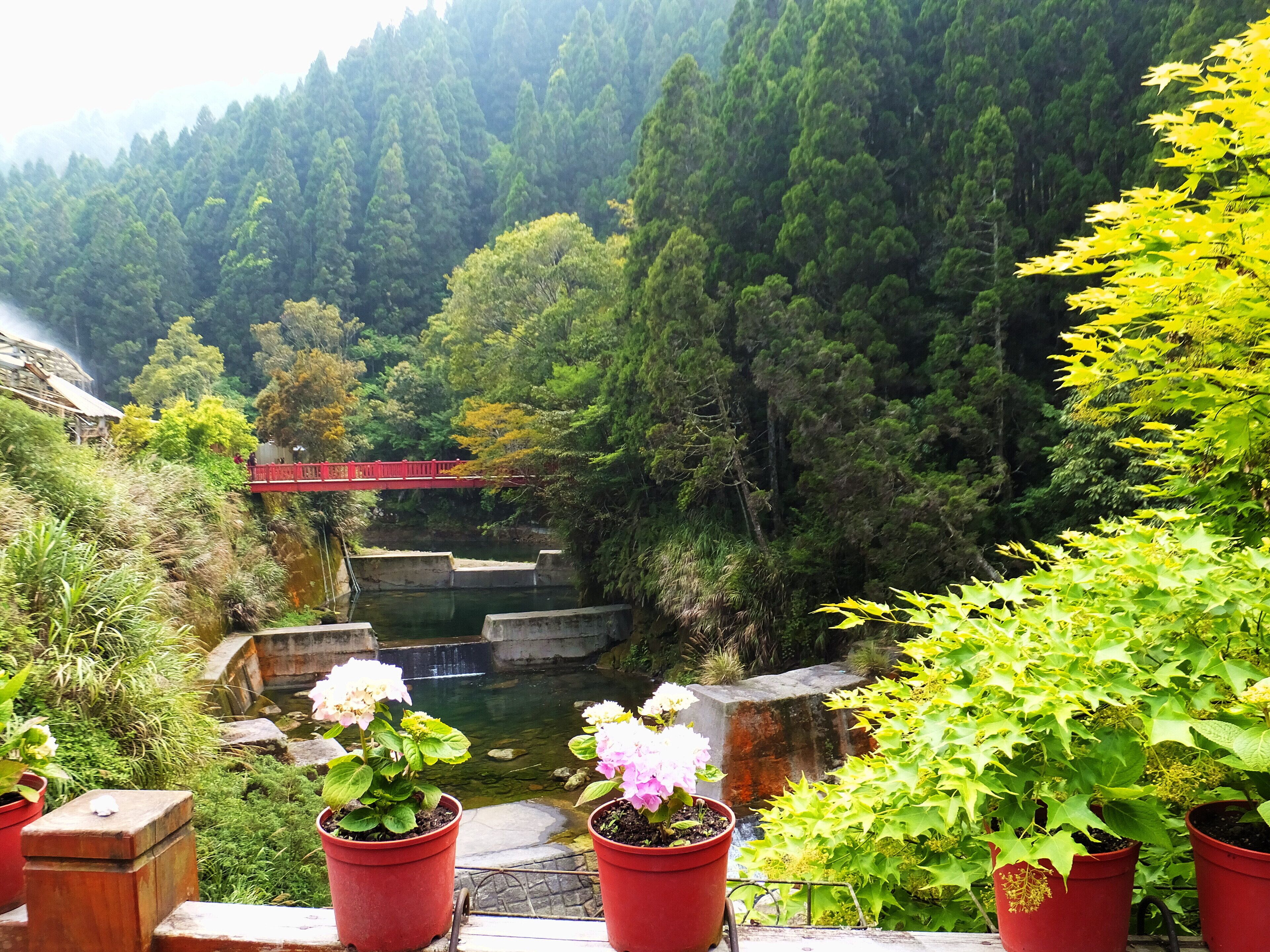 A red bridge over a river, surrounded by dense forest and potted plants.