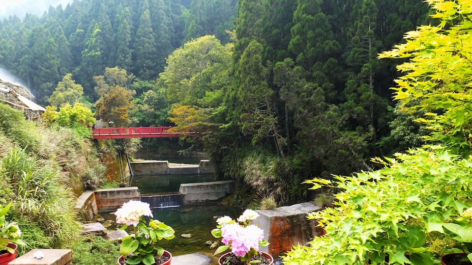A red bridge over a river, surrounded by dense forest and potted plants.
