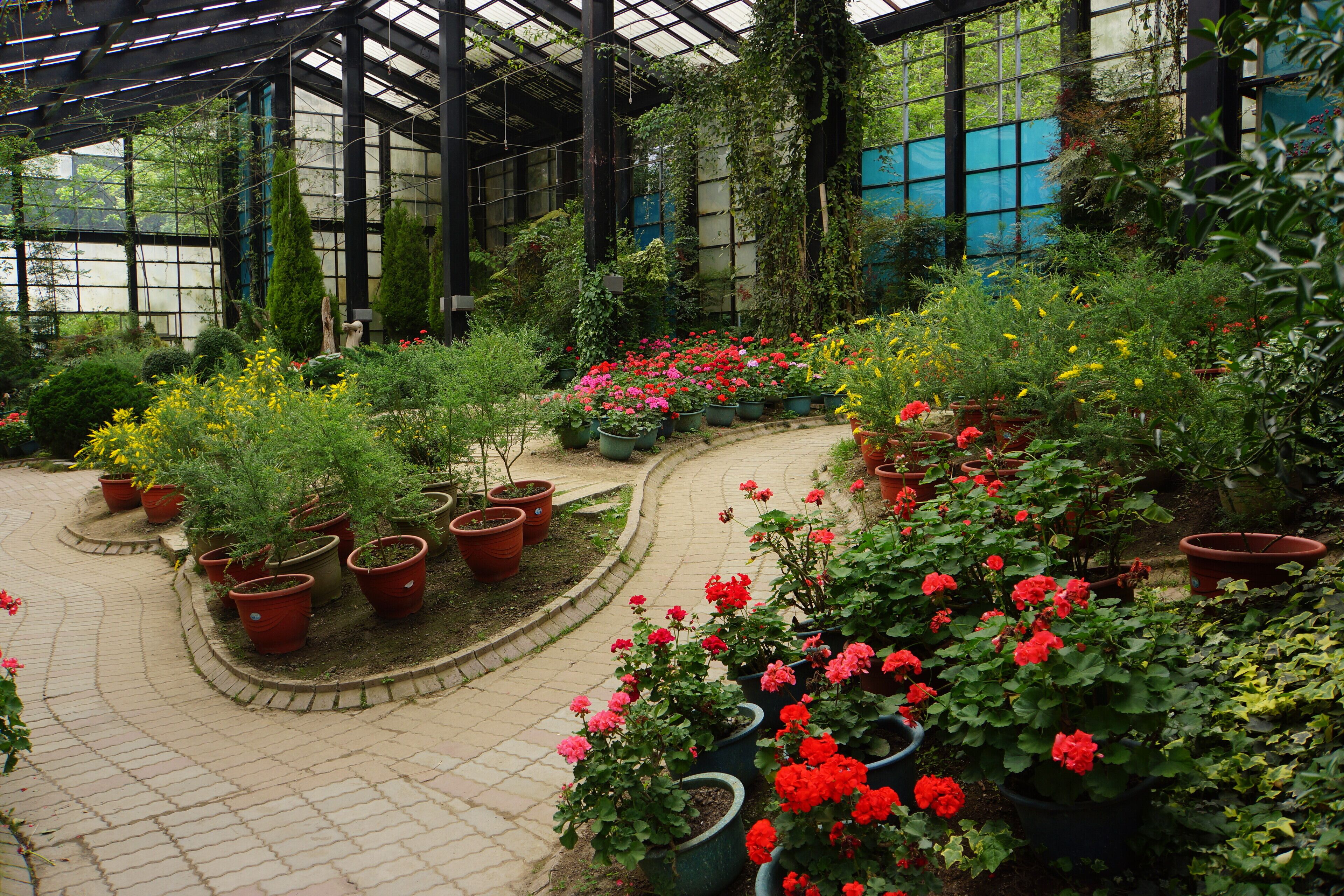 Garden Under Glass 玻璃花坊