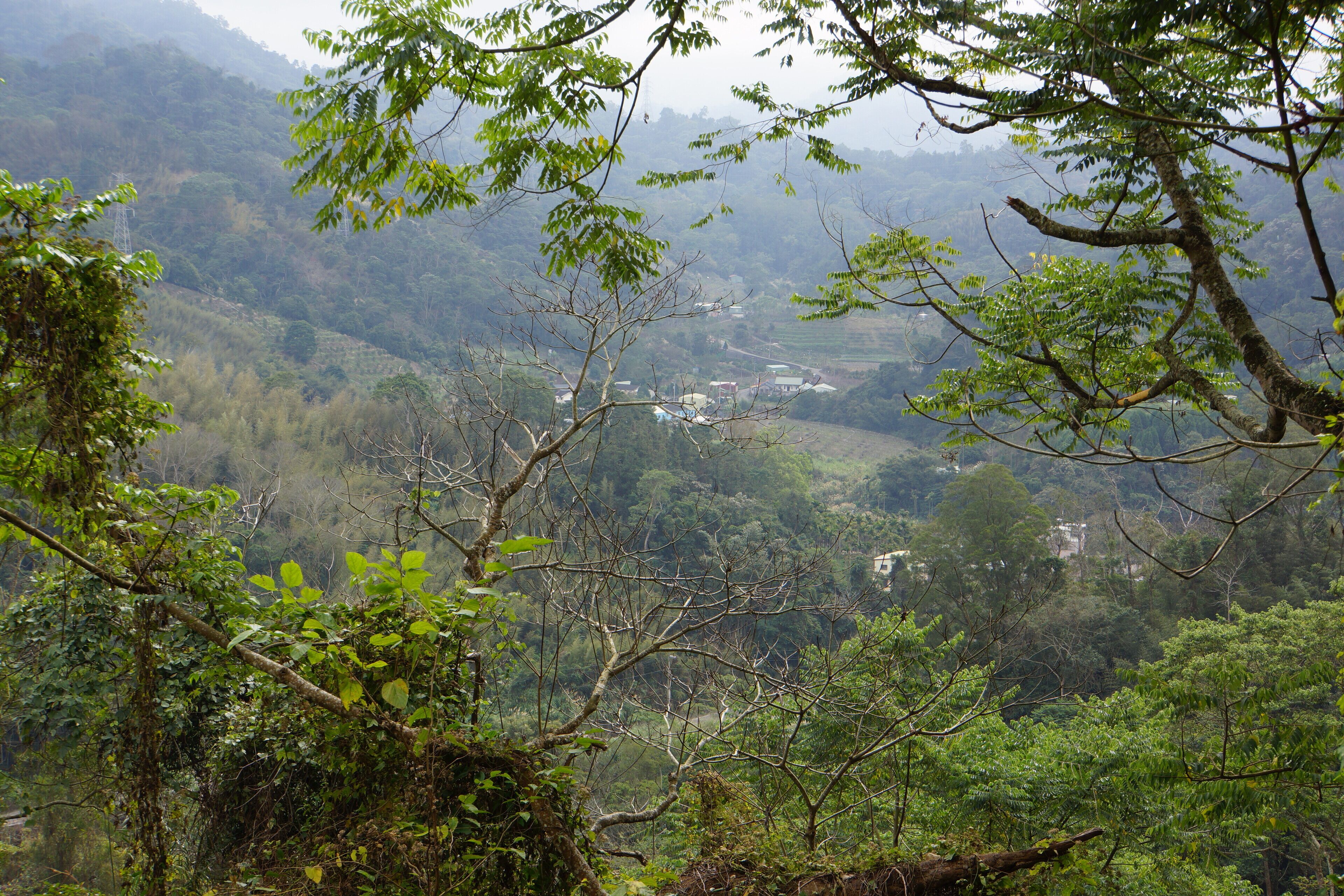 Xiangshan, Zhuolan 卓蘭象山