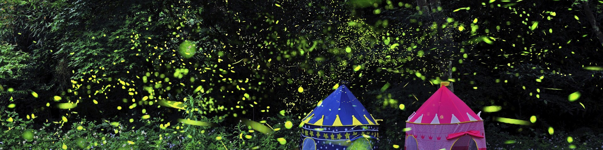 Firefly at the night in the Zhuolan Miaoli