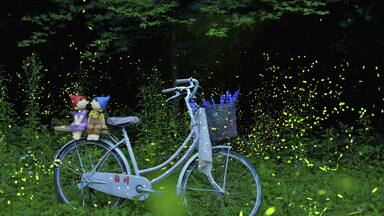 Firefly at the night in the Zhuolan Miaoli