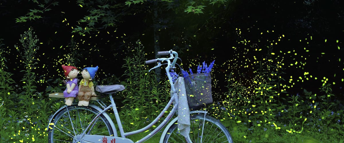 A bicycle with a basket and a figure on the seat, surrounded by greenery and yellow lights.