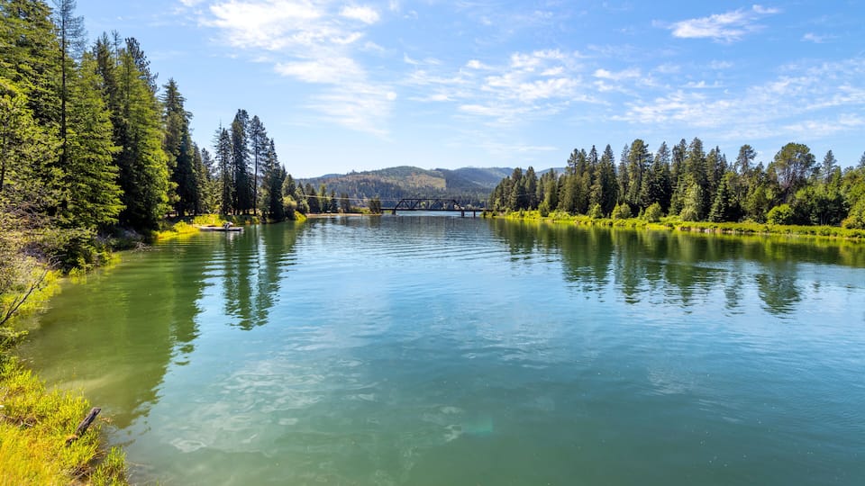 A calm river with a bridge, surrounded by dense forests and hills in the background.