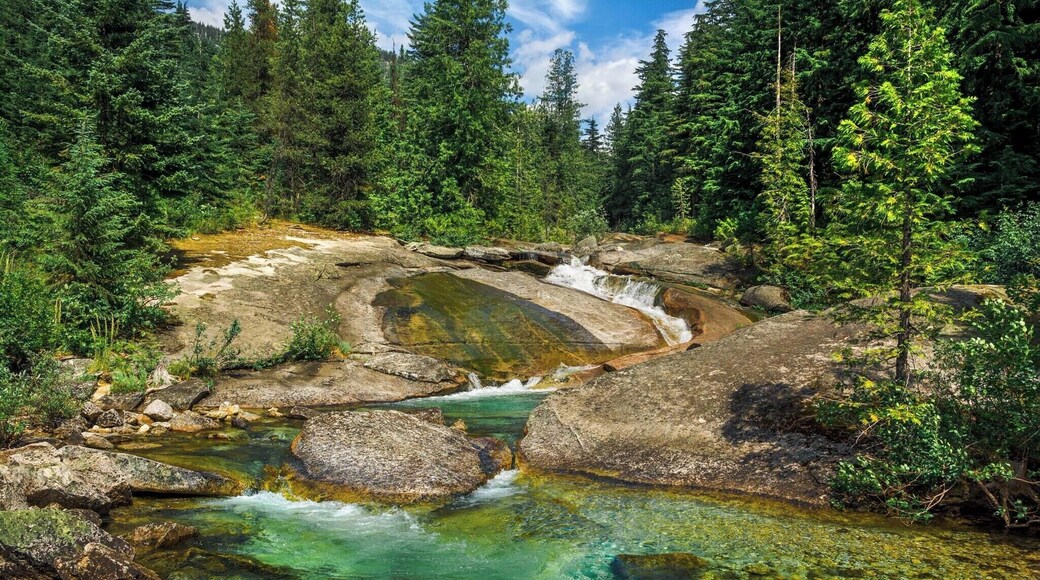 I found paradise, Its by Priest Lake... definitely one of the coolest natural pools of water in the area, very interesting hike! Had a natural waterslide too that people gathered around to use. Unreal. #BVStrove
