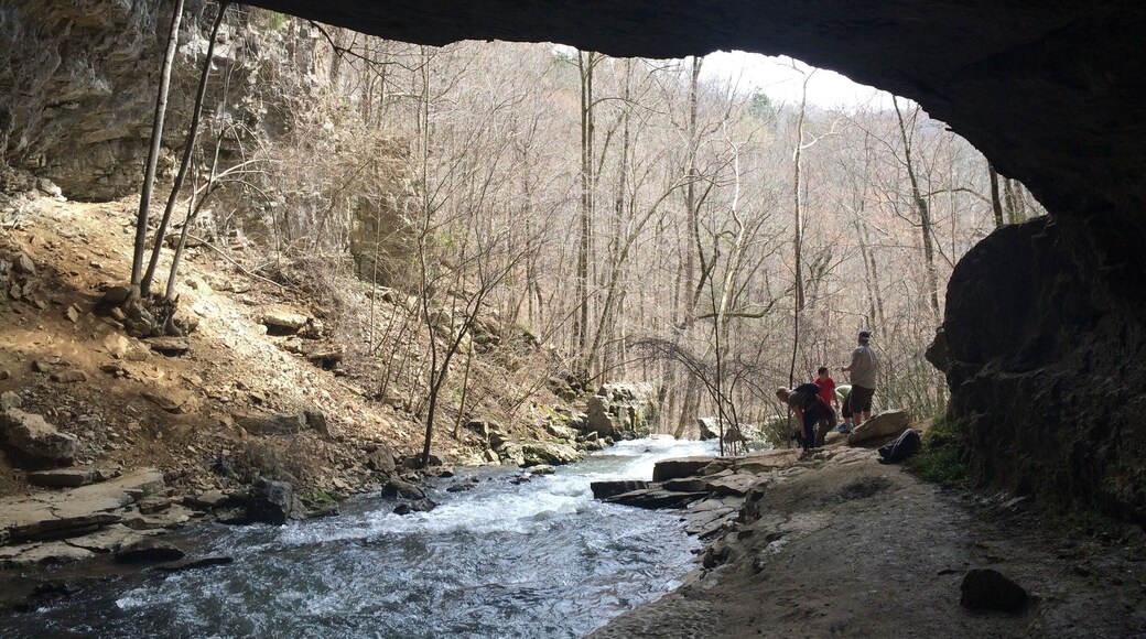Buggytop trail. Standing in the cave. Really cool. We camped at the car camping spot down the road. Very rustic but that is what I like. I would suggest spring/fall.