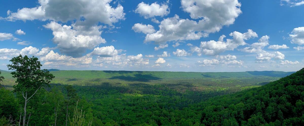 A lush green valley with rolling hills and a clear blue sky with scattered clouds.