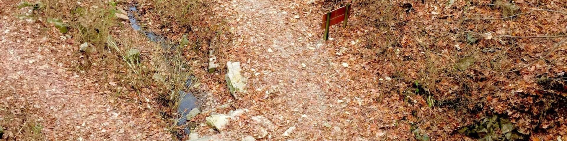Marble Mine at Sloppy Floyd State Park. Great hike!