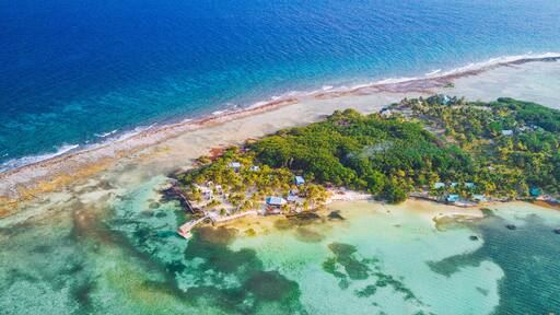 Thatch Caye