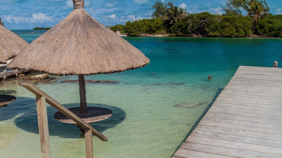 A wooden pier leading into clear turquoise waters with thatched umbrellas and a tropical backdrop.