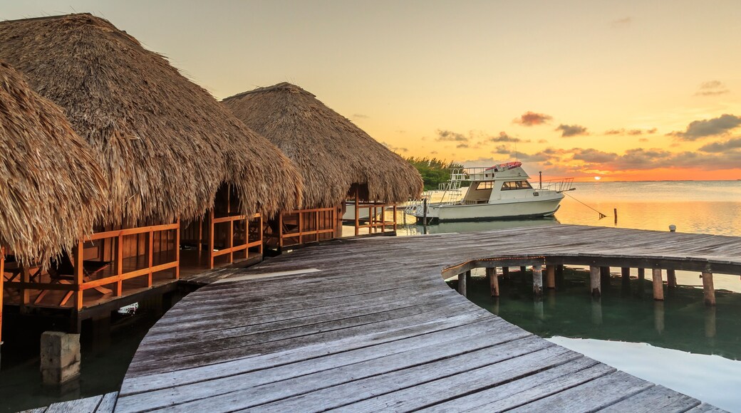 Cayo Thatch
