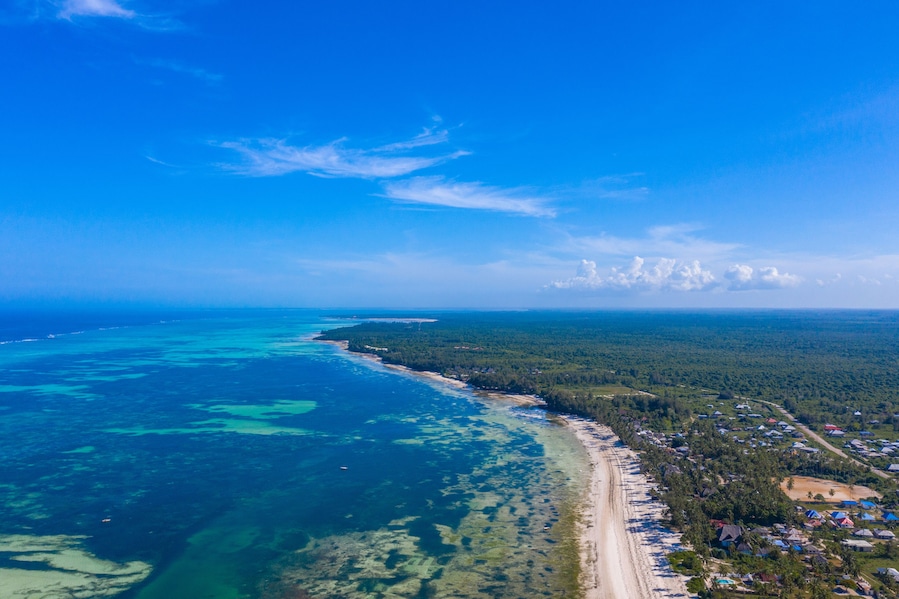 Un paysage côtier caractérisé par un ciel bleu dégagé, une plage de sable et une zone boisée dense.