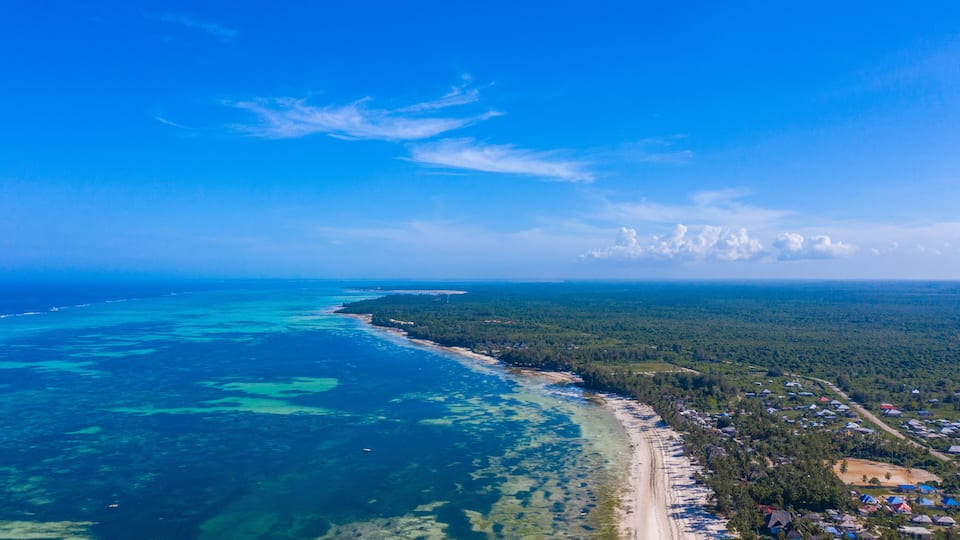 A coastal landscape with a clear blue sky, a sandy beach, and a dense forested area.