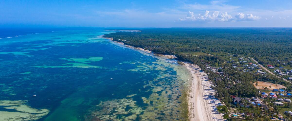 A coastal landscape with a clear blue sky, a sandy beach, and a dense forested area.