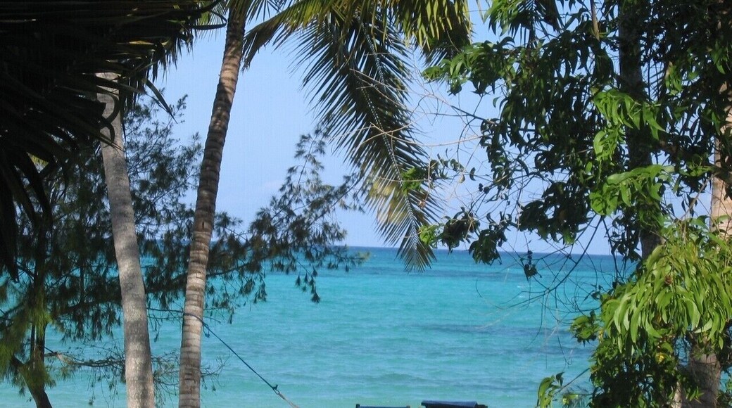 No safari trip to Tanzania is complete without a short hop to Zanzibar and the great beaches to relax. I actually proposed to my wife on this beach - not sure how useful this information is to fellow travellers, but holds a lot of memories for me... #lifeatexpedia #beach #nature