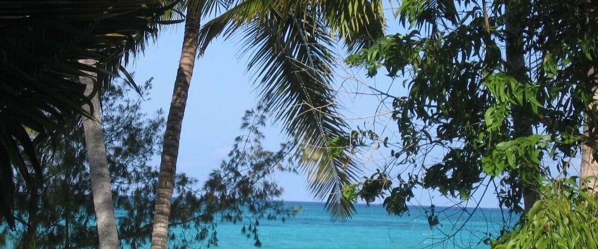 No safari trip to Tanzania is complete without a short hop to Zanzibar and the great beaches to relax. I actually proposed to my wife on this beach - not sure how useful this information is to fellow travellers, but holds a lot of memories for me... #lifeatexpedia #beach #nature