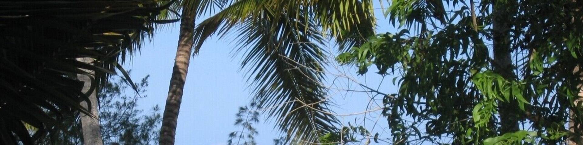 No safari trip to Tanzania is complete without a short hop to Zanzibar and the great beaches to relax. I actually proposed to my wife on this beach - not sure how useful this information is to fellow travellers, but holds a lot of memories for me... #lifeatexpedia #beach #nature