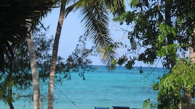 A hammock between palm trees overlooking a beach with clear turquoise water.