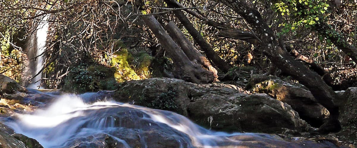 A waterfall flowing over rocks in a forested area.