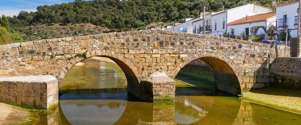 A stone bridge with two arches over a body of water, surrounded by buildings and greenery.