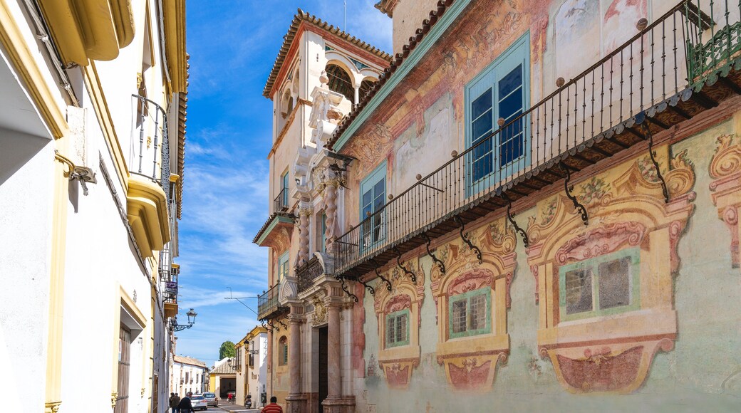 Ecija, Spain, March 9, 2022. View of the colorful Palacio de Penaflor in the city of Ecija, in Seville, Spain