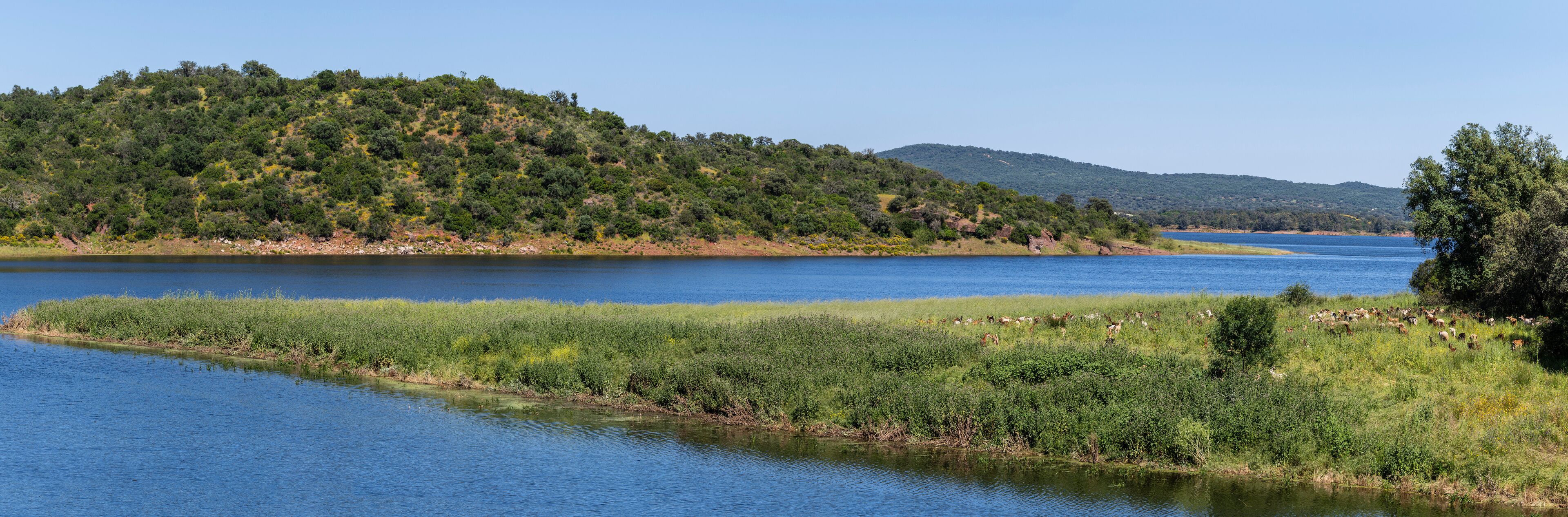 Retortillo reservoir, Sierra de Hornachuelos Natural Park, province of Córdoba, Andalusia, Spain