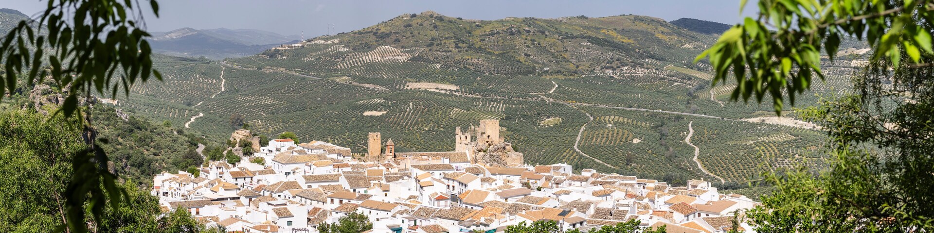 Un pueblo con edificios blancos y una torre destacada, en medio de colinas ondulantes y olivares.