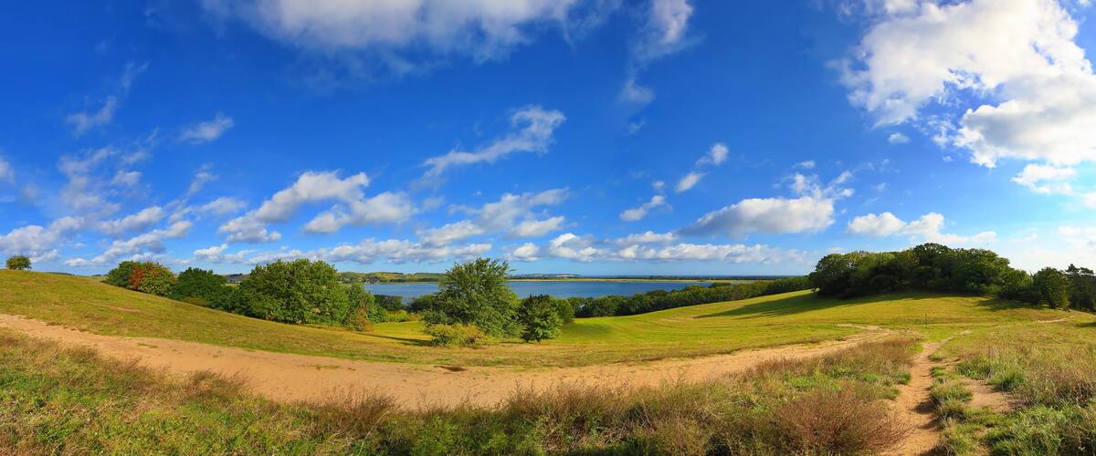 A grassy landscape with a dirt path, trees, and a lake in the distance.