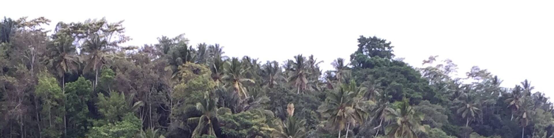 Bali is well known for its rice fields to the extent it was nominated as a World UNESCO Heritage site for its traditional cultivation system. This one that we passed by was not exactly the said site but similar and on the way.
The actual site is known as Jatiluwih Rice Field and is on a grander scale.
Website: http://whc.unesco.org/en/list/1194