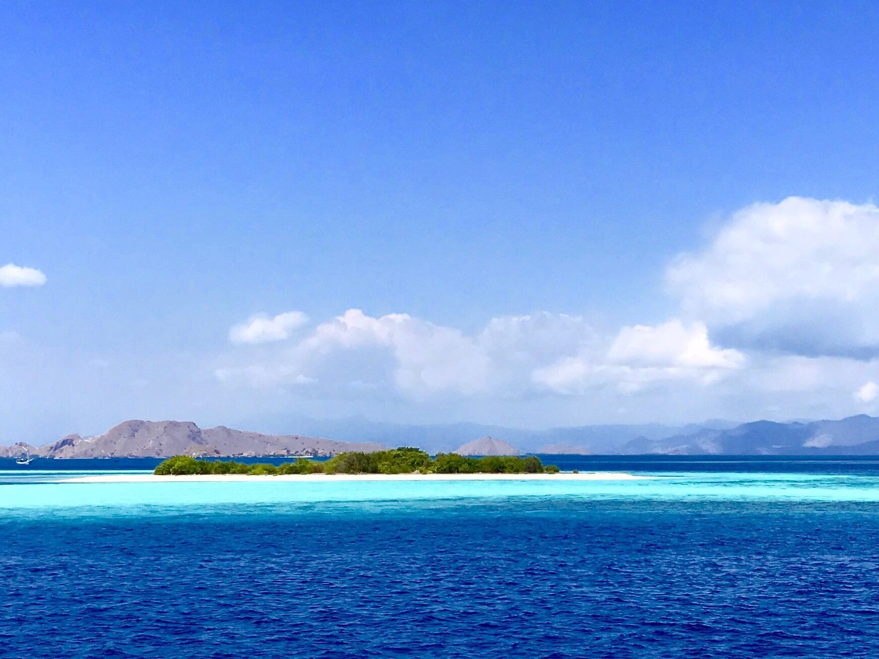 I keep trying to stop myself from posting pictures of our time in Komodo wildlife refuge. But it is so beautiful!