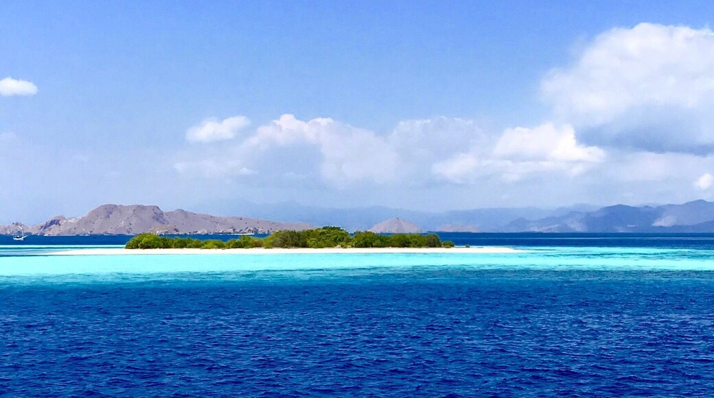 I keep trying to stop myself from posting pictures of our time in Komodo wildlife refuge. But it is so beautiful!