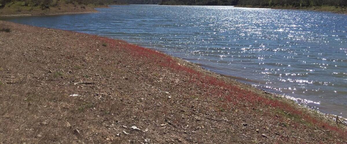 A calm lake with a rocky shoreline and distant hills.