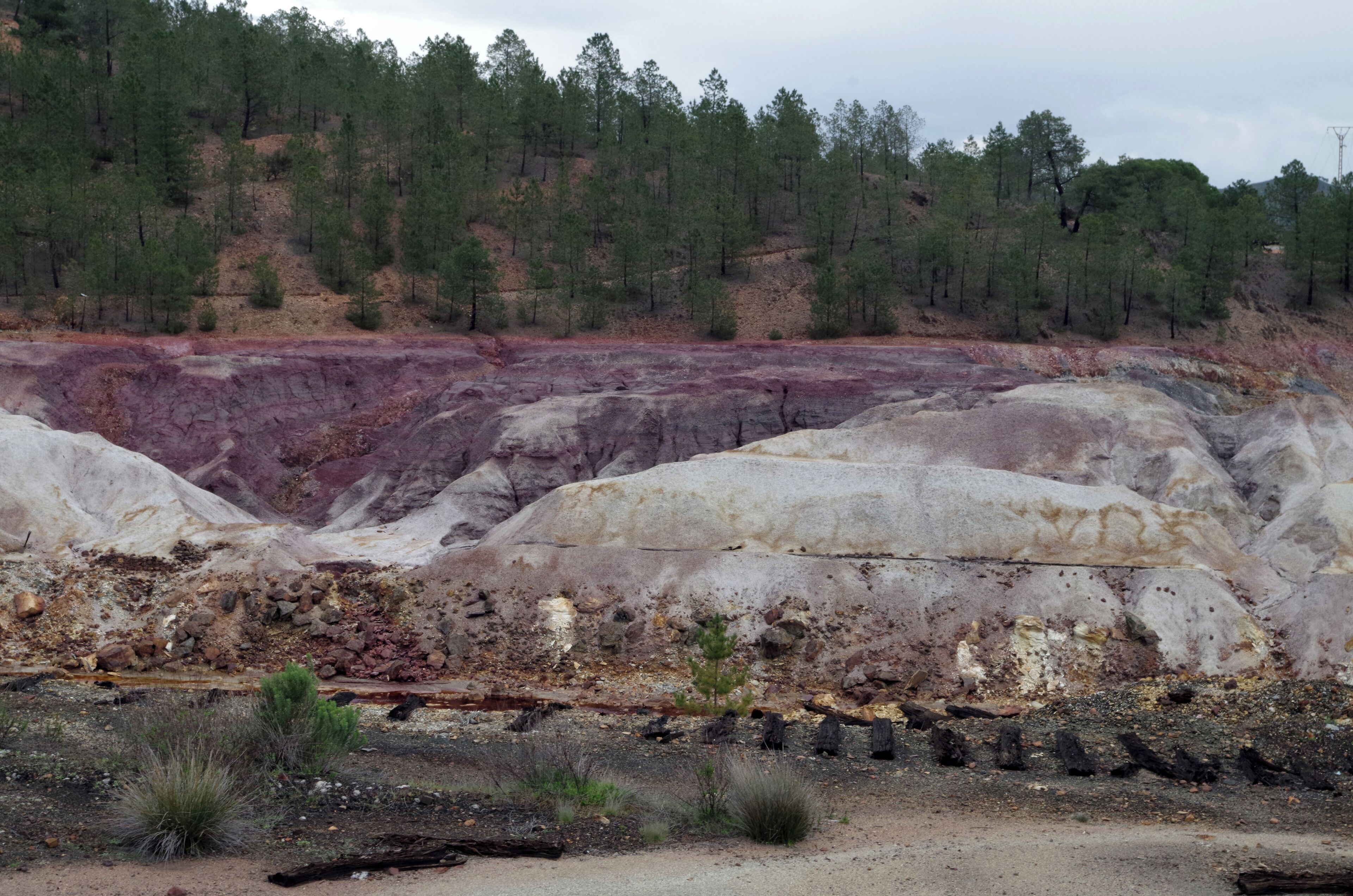 Manganese vein in Minas de Riotinto. (Huelva, Spain).