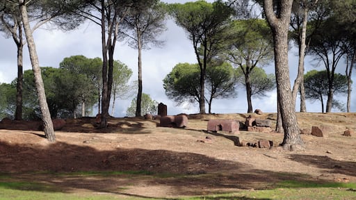 Roman necropolis of La Dehesa in Minas de Riotinto. (Huelva, Spain)