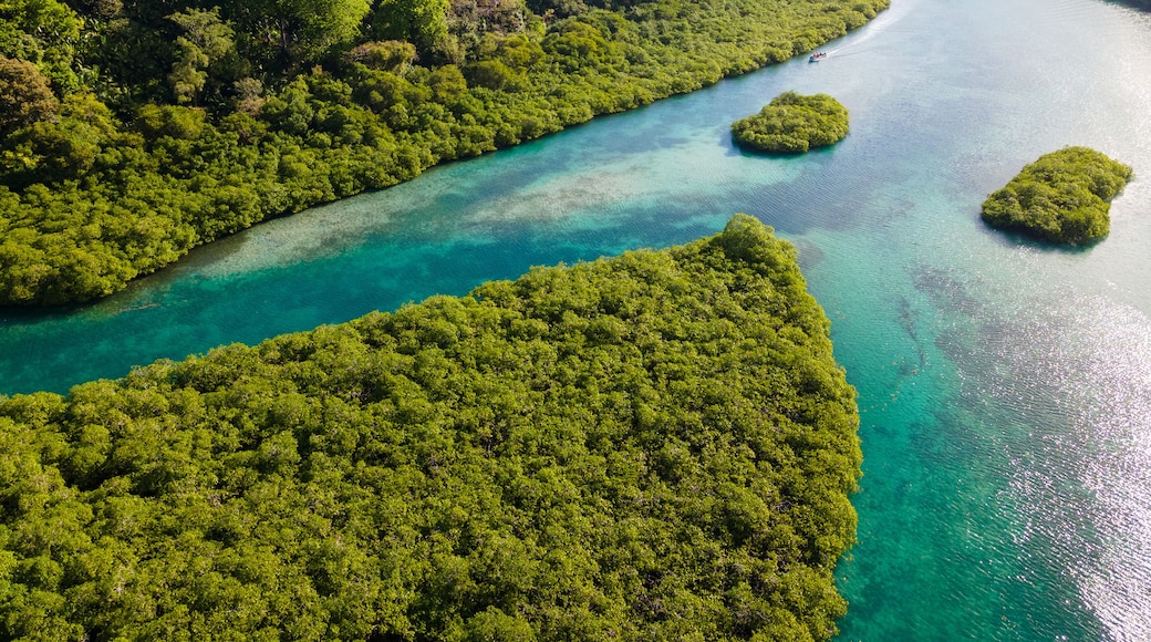 A tropical island landscape with dense green vegetation and clear turquoise waters.