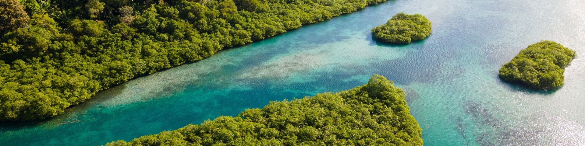 Paisaje isleño tropical con densa vegetación verde y aguas turquesas cristalinas.