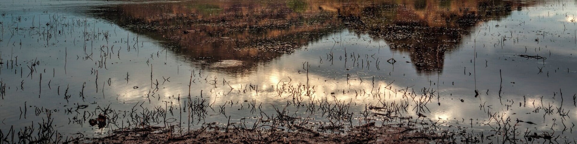 Morningview on Lac Du Salagou, Octon, Herault, France
