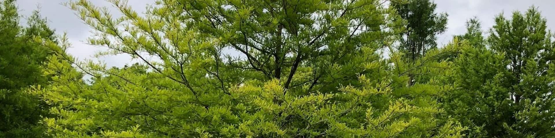 Bird sanctuary. Very relaxing