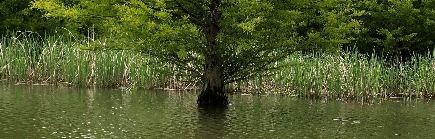 Bird sanctuary. Very relaxing