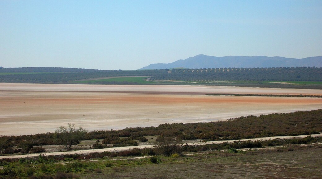 Lagune de Fuente de Piedra (comarque d'Antequera, province de Malaga, Espagne)