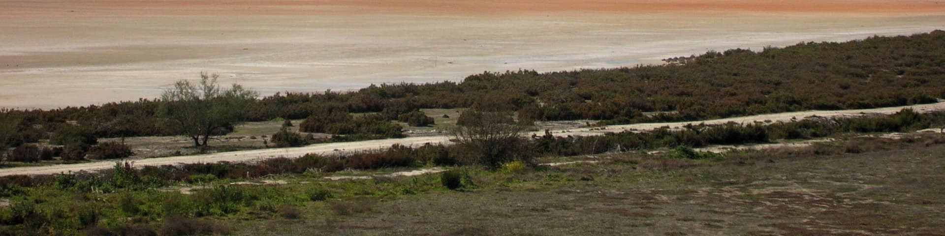 Lagune de Fuente de Piedra (comarque d'Antequera, province de Malaga, Espagne)