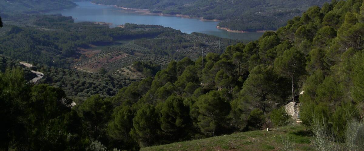 A mountainous landscape with a lake surrounded by dense forests and a winding road.